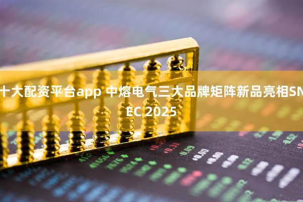 十大配资平台app 中熔电气三大品牌矩阵新品亮相SNEC 2025