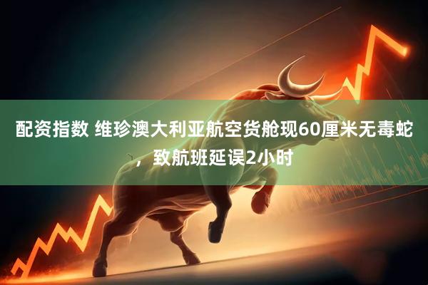 配资指数 维珍澳大利亚航空货舱现60厘米无毒蛇,致航班延误2小时